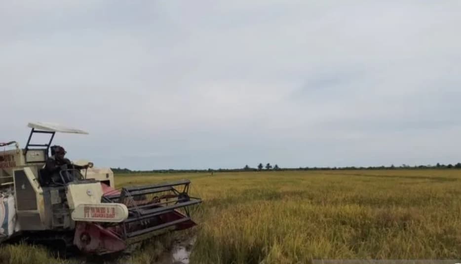 Bulog Serap 10.951 Ton Gabah dari Kabupaten Penajam dan Paser