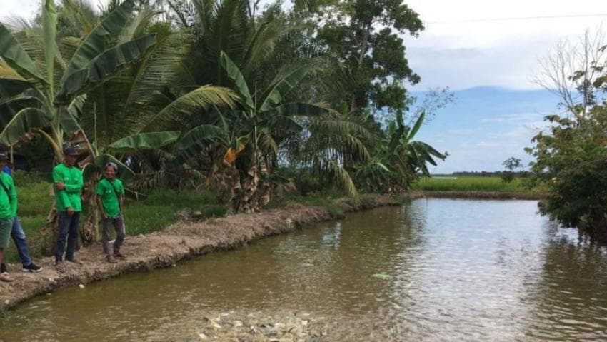 Soal Produksi dan Pemasaran, Pembudidaya Ikan Disarankan Gandeng Kopdes Merah Putih