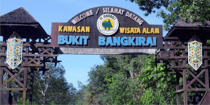 Keindahan Bukit Bengkirai Di Area IKN