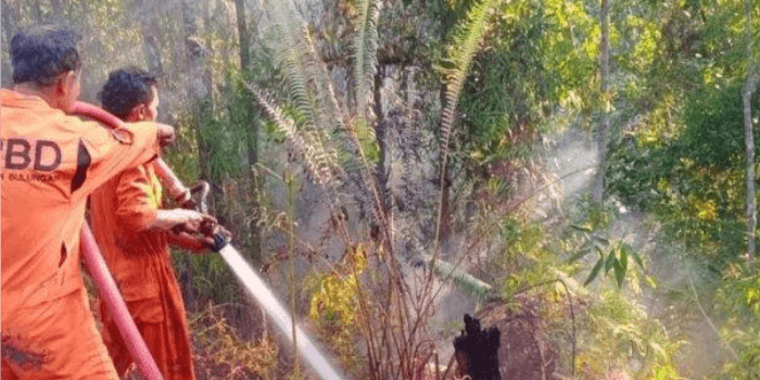 Terdapat 278 Titik Panas Terdeteksi di Kalimantan Timur